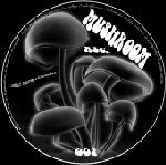 Acheter disque vinyle Mushroom 01 PH4- stereotypes a vendre